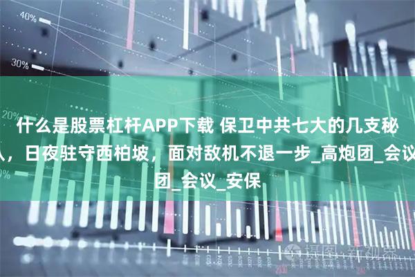 什么是股票杠杆APP下载 保卫中共七大的几支秘密部队，日夜驻守西柏坡，面对敌机不退一步_高炮团_会议_安保