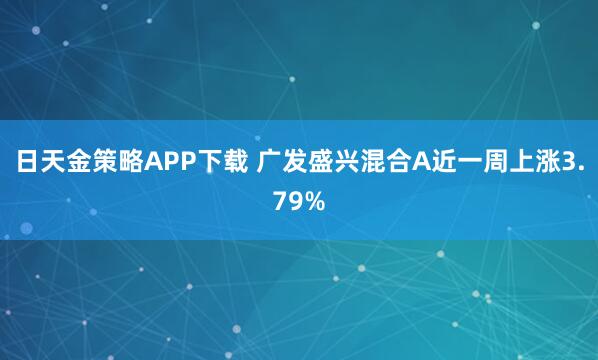 日天金策略APP下载 广发盛兴混合A近一周上涨3.79%