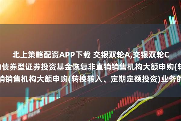 北上策略配资APP下载 交银双轮A,交银双轮C: 关于交银施罗德双轮动债券型证券投资基金恢复非直销销售机构大额申购(转换转入、定期定额投资)业务的公告